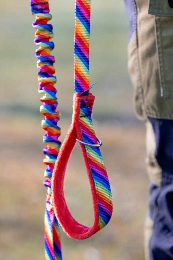 Bungee Lead - Image 4