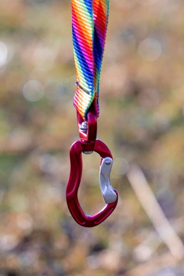 Bungee Lead - Image 5