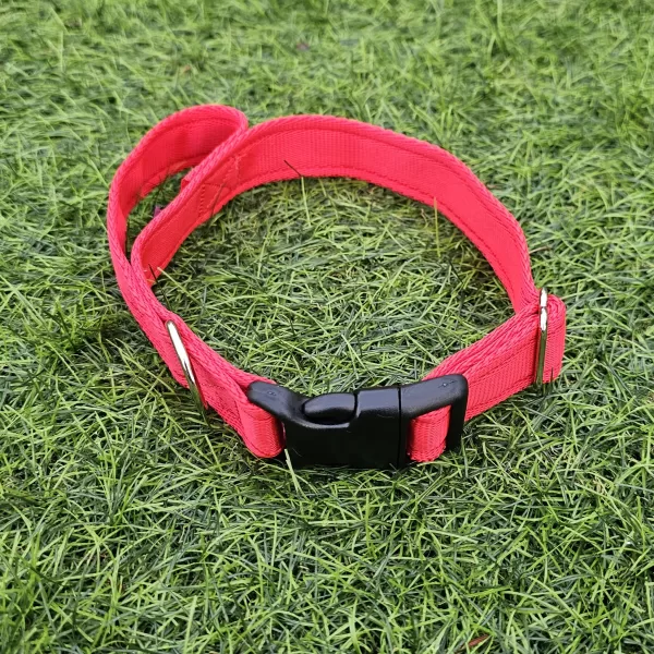 Cushion Webbing Collar With Handle CIK9 Dog Tactical Gear Red