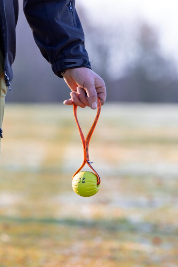 ball tug that floats