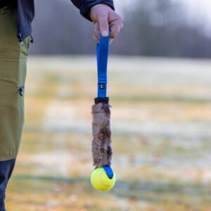 flyball tug toy