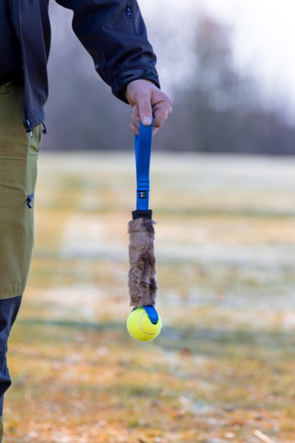 flyball tug toy