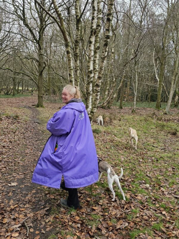 Dog walking coat purple