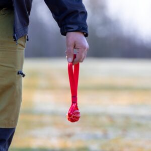 Micro treat ball tug