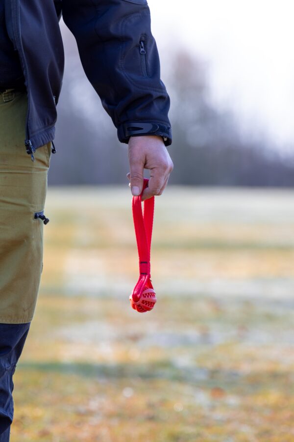 Micro treat ball tug