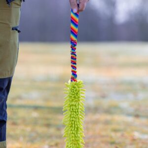 Mop Tug Toy