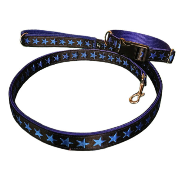 Blue Stars Dog Collar