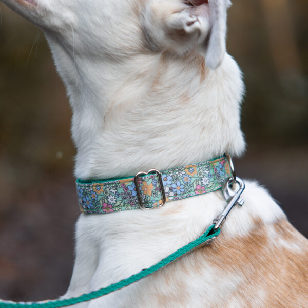 Floral Green Collar Close Up