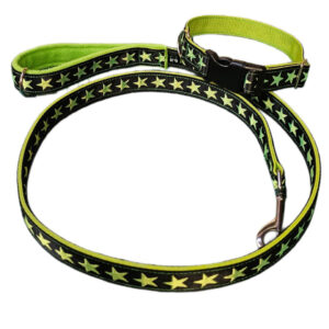 Lime Stars Dog Collar