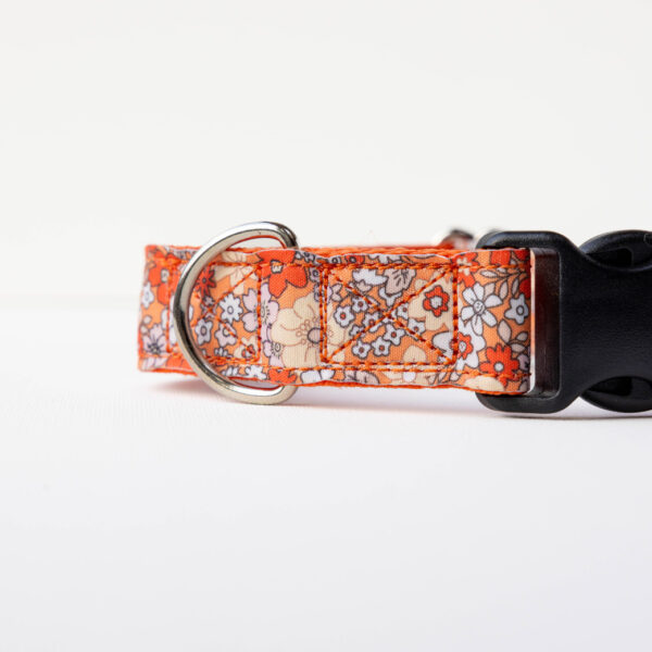 Orange pattern Collar