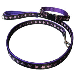 Purple Stars Dog Collar