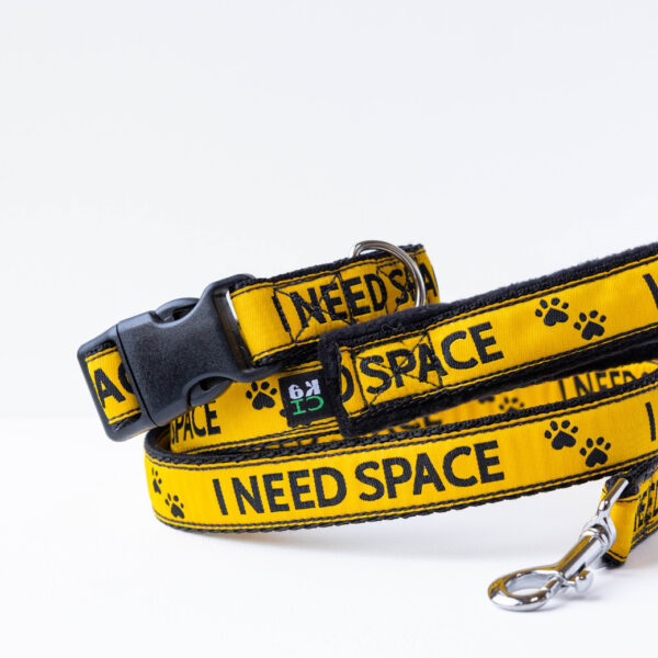 Dog In Training Collar