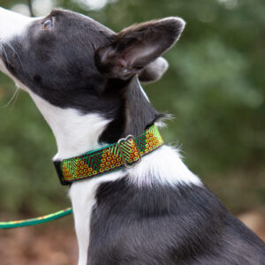 Collar Lead Set Close Up Green Glitter