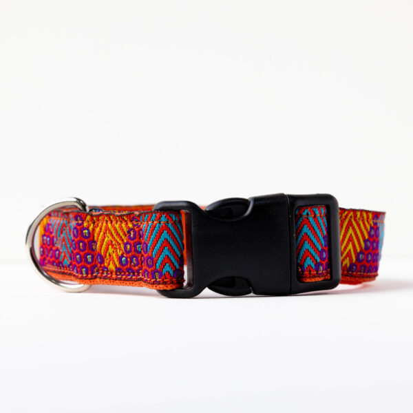 Orange Glitter Dog Collar - Image 2