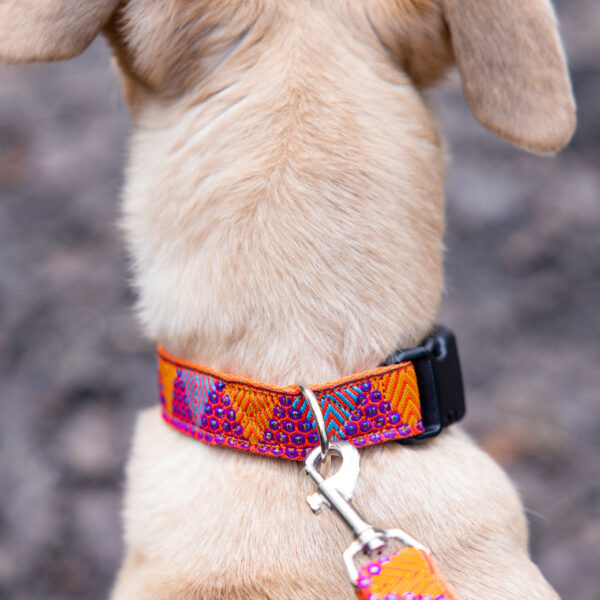 Orange Glitter Dog Collar - Image 7