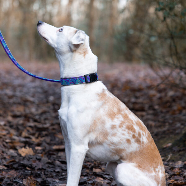 Purple Glitter Dog Collar - Image 5