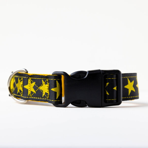 Black and Yellow Dog Collar